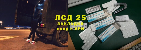 гидра Козловка