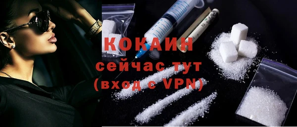 шишки Козельск
