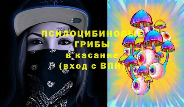 шишки Козельск