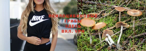 прущая мука Краснослободск