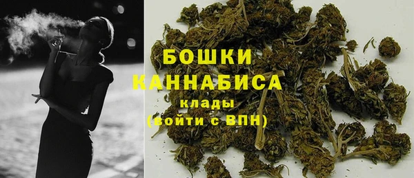 шишки Козельск