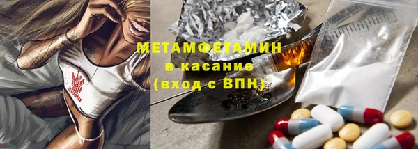 гидра Козловка