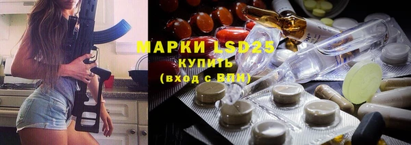 шишки Козельск