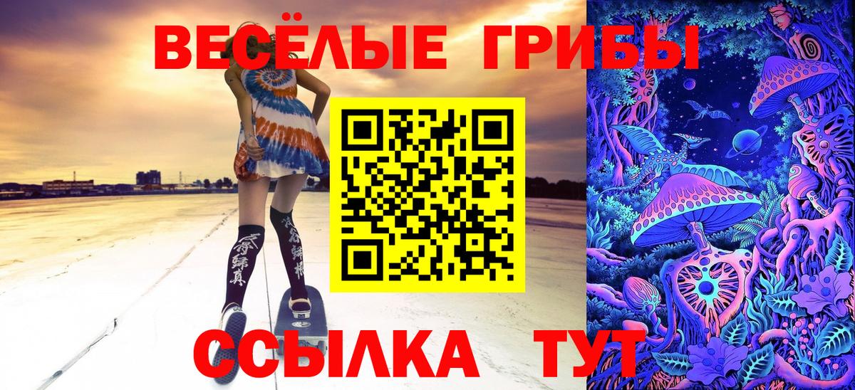 Галлюциногенные грибы мухоморы Всеволожск