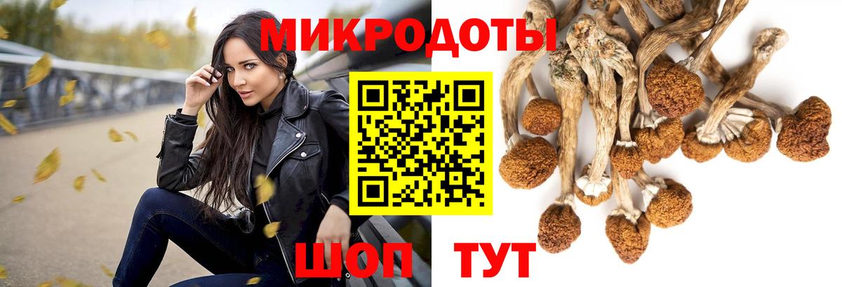 Галлюциногенные грибы мухоморы  Вход с VPN  Псилоцибиновые грибы прущие грибы  Всеволожск 
