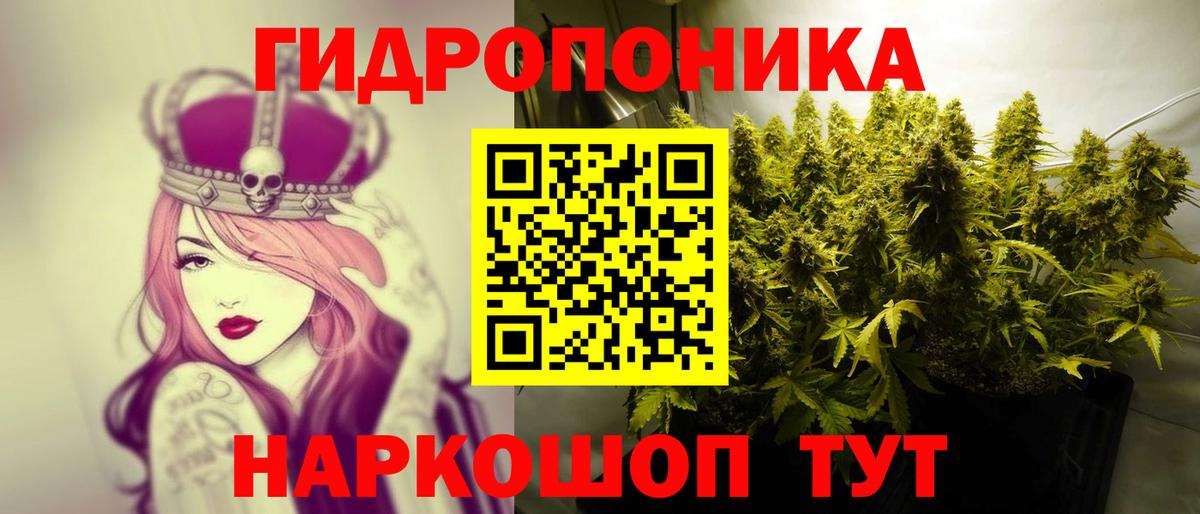 Бошки Шишки White Widow  Всеволожск  Канабис планчик  Каннабис гибрид  Шишки марихуана планчик 